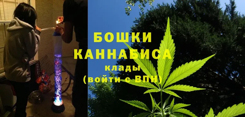 где купить наркоту  Бежецк  Конопля White Widow 